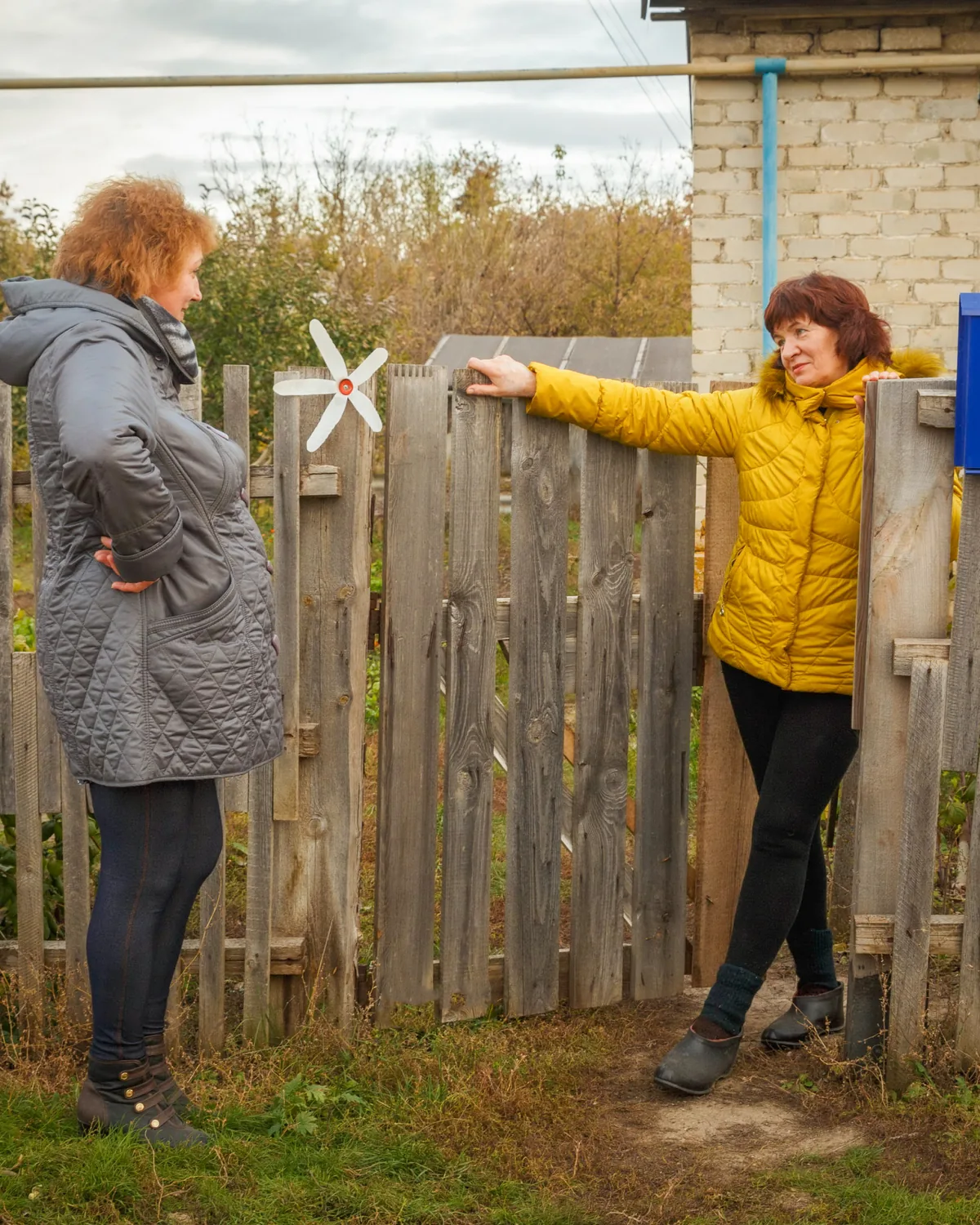 Two neighbors talking across a wooden garden fence.